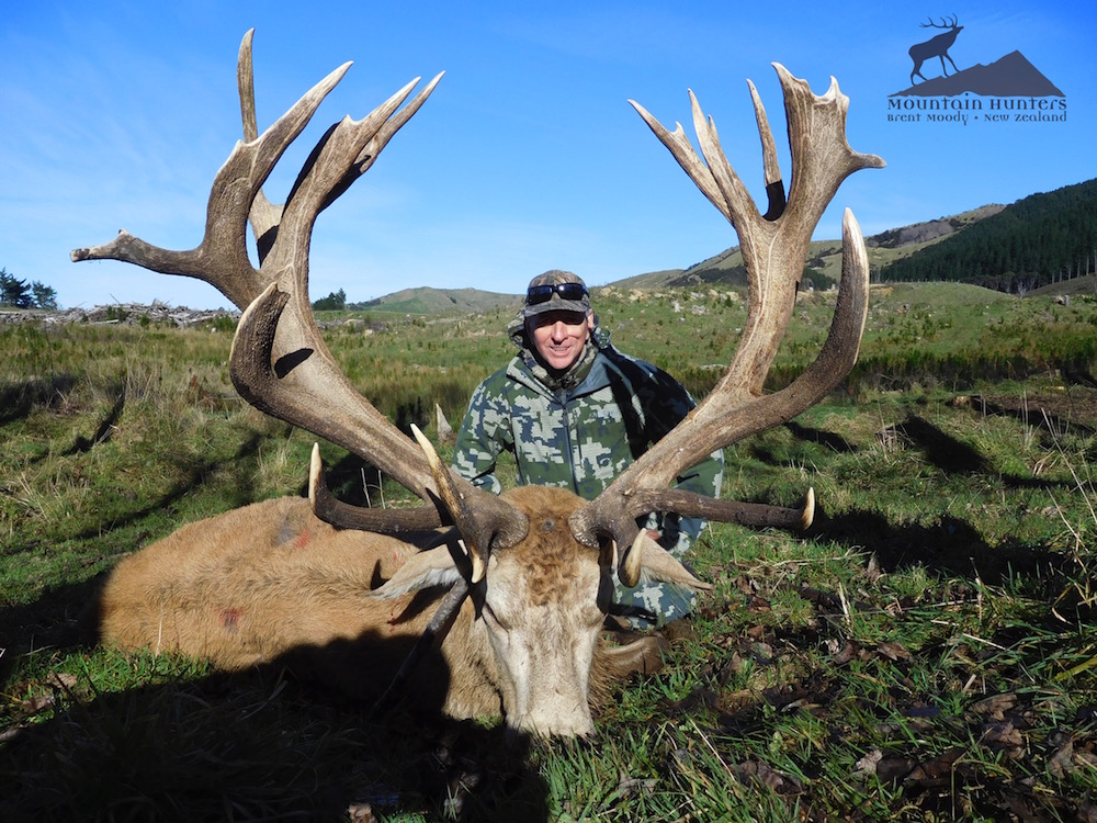 Red Stag Hunting New Zealand 